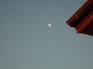 Luna in crestere in Leu
