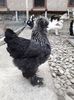 20190210_151735(0)