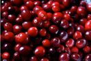 christmas_cranberries_good_food_ireland