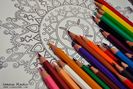creioane-colorate-Pelikan-soft-07