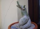 Adenium obesum
