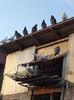 IMG-20190325-WA0000
