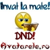 avatar invat