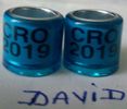 2019-CROATIA-8mm fara talon....-1 leu