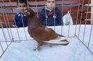 SAM_1425