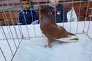 SAM_1426