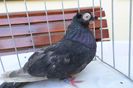 SAM_1455