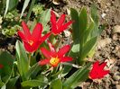 30 mart (47)