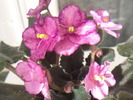 Photo0864