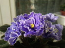 Photo0866