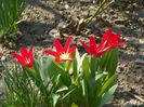 6 apr (4)