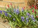 6 apr (5)