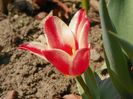 6 apr (32)