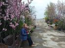 garden center grup bragadiru