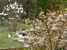 10 apr (9)