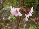 10 apr (20)