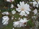 10 apr (26)