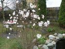 10 apr (27)