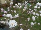10 apr (35)