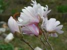 10 apr (36)