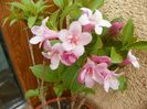 10 apr (43)