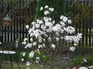 10 apr (44)