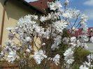 10 apr (52)