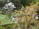 10 apr (55)