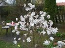 10 apr (68)
