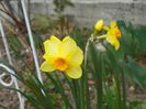 10 apr (6)