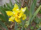 10 apr (8)