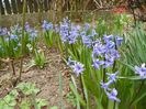 10 apr (12)