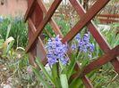 10 apr (16)