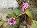 10 apr (28)