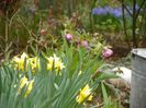 10 apr (32)