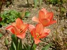 10 apr (48)