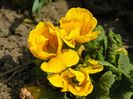 10 apr (53)