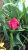 20190410_105519(0)