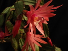 DSC05747