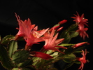 DSC05742