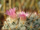 DSC05740