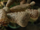 DSC05738