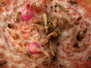 DSC05729