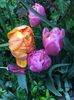 7D9B078B-481C-4BAB-BFCE-75F592AE711A