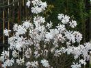 13 apr (14)