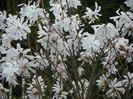 13 apr (16)
