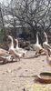 VideoCapture_20190330-194355