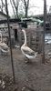 VideoCapture_20190408-230759