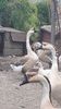 VideoCapture_20190408-231739