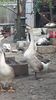 VideoCapture_20190330-194713